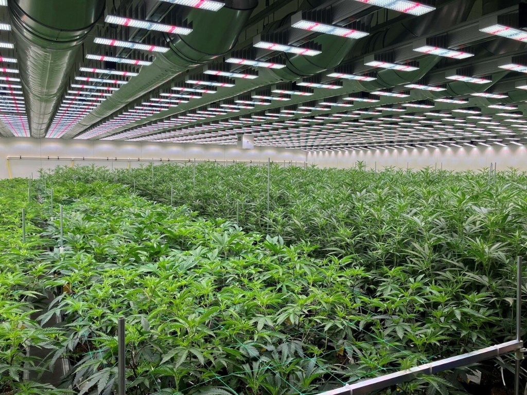 Cannabis cultivation and processing facility